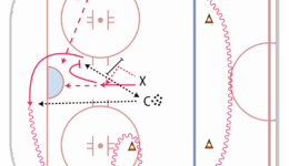 Cornell Puck Control