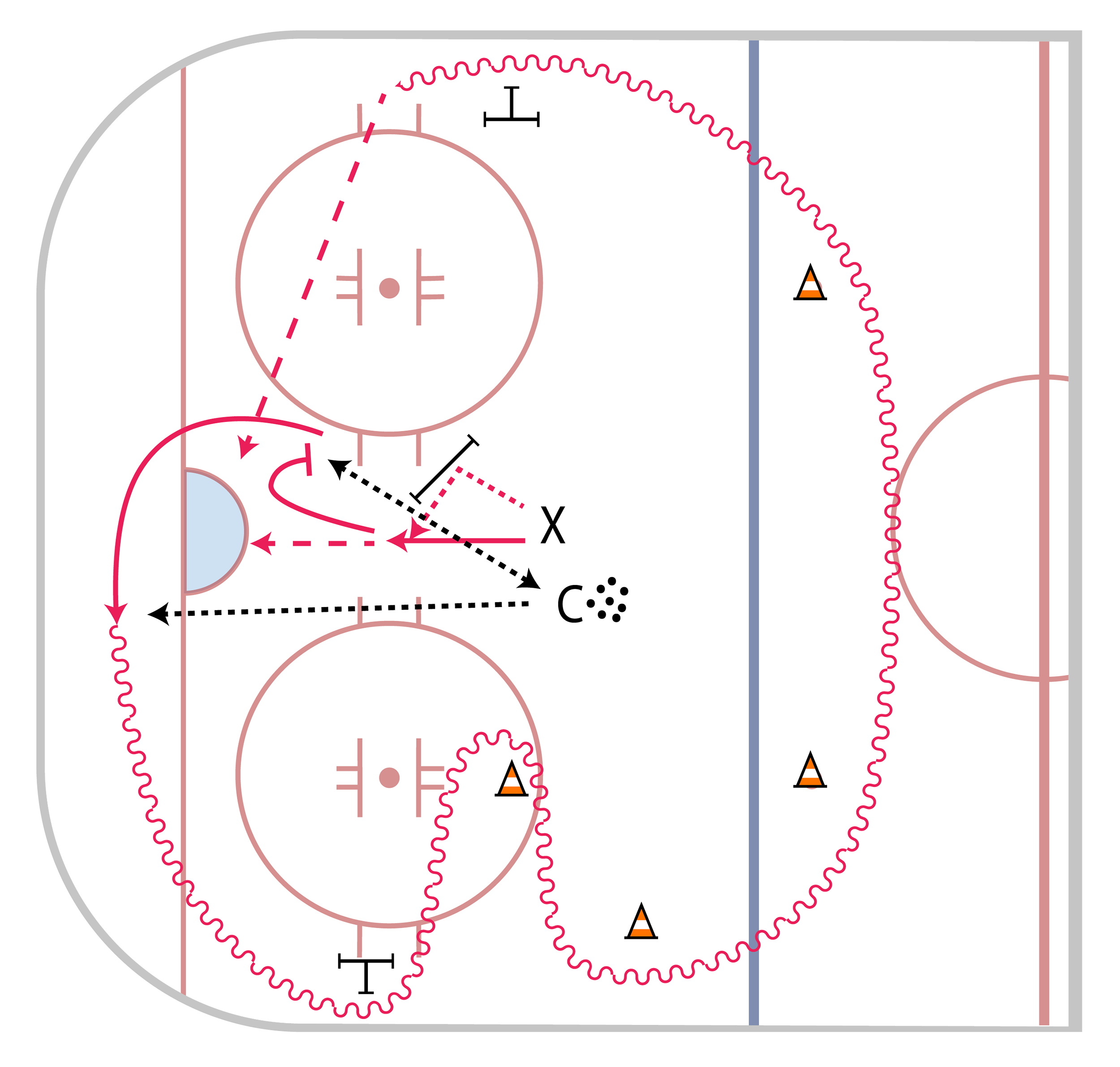Cornell Puck Control
